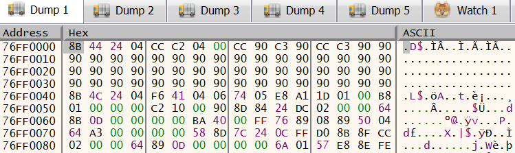 capture d’écran d’une fenêtre x64dbg contenant des données de vidage