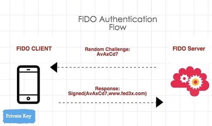 fido auth u2f