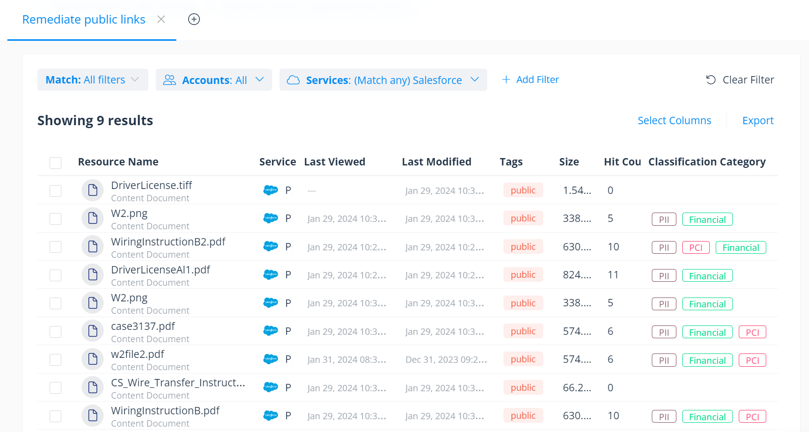 Salesforce public link report 1