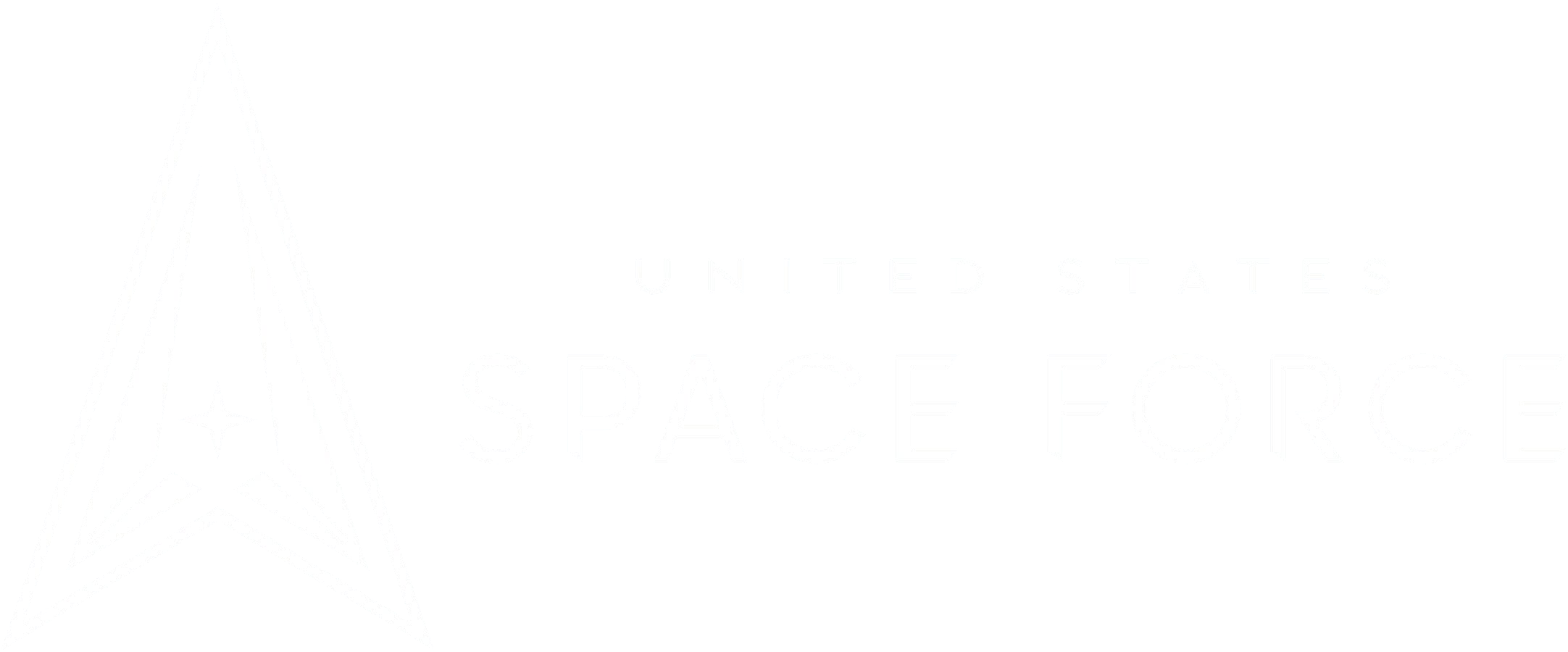 U.S. Space Force Logo